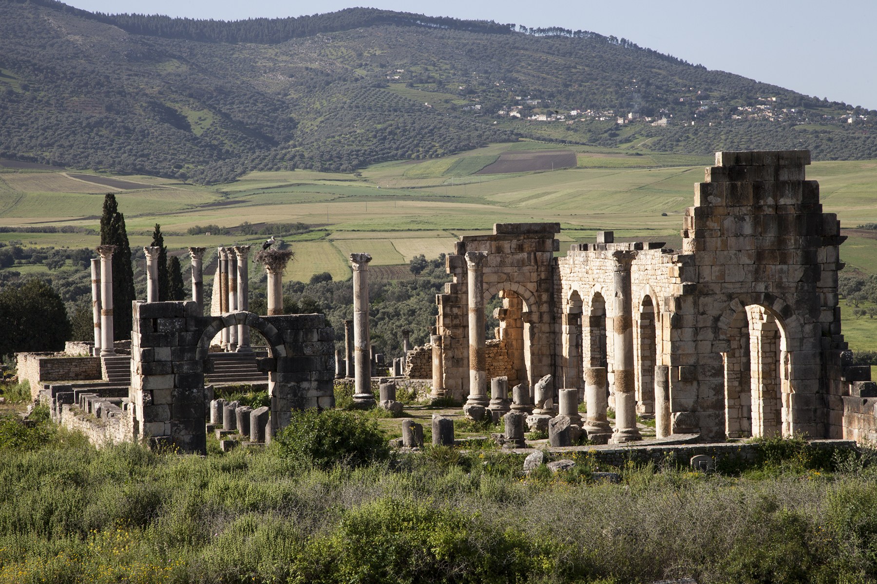 Volubilis, vue des vestiges